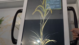 生生不息互动滑轨屏_互动屏幕项目导览图5