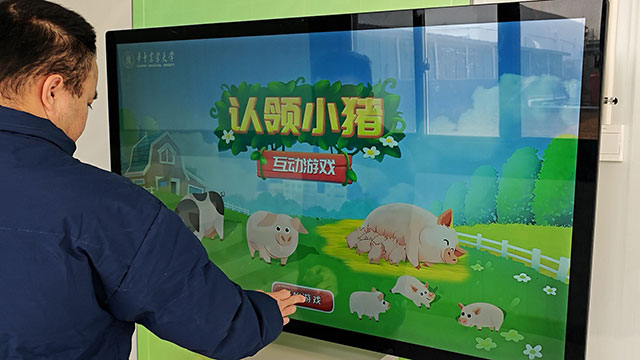 认领小猪互动游戏