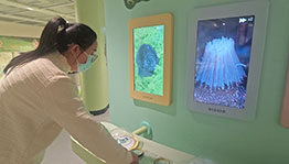 微生物王国 互动装置_其他展项项目导览图4