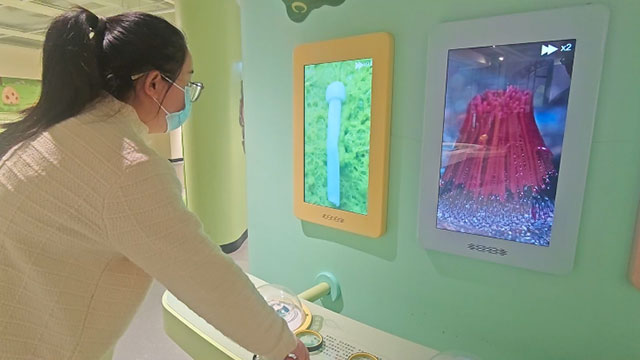 微生物王国 互动装置