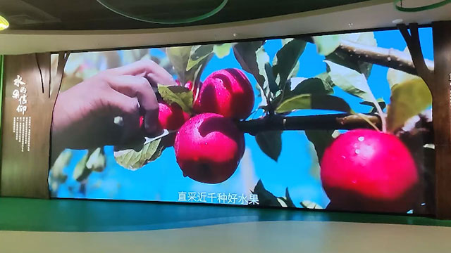 水果的信仰 宣传片