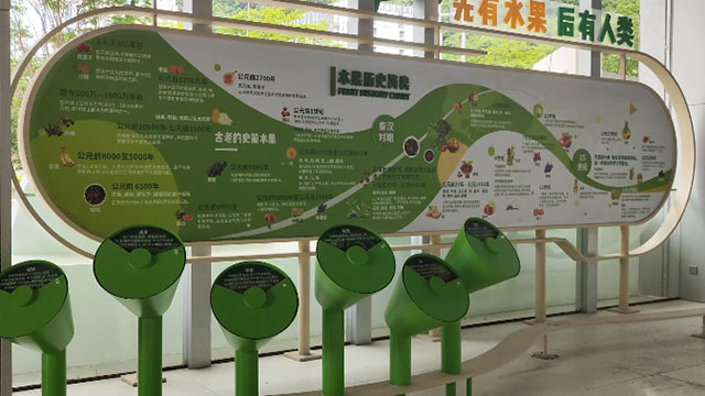 先有水果后有人类 互动装置