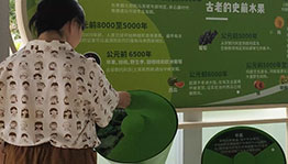 先有水果后有人类 互动装置_其他展项项目导览图2