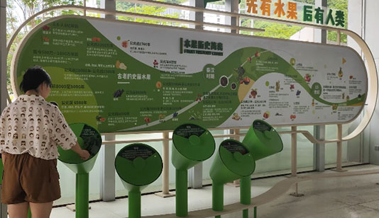 先有水果后有人类 互动装置_其他展项项目导览图1