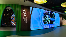 广东深圳百果园企业展厅_数字展厅项目导览图2