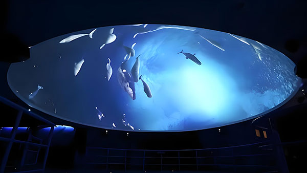 气膜投影，如何让创意不再受限于屏幕？