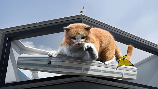 裸眼3D全息投影，让虚拟与现实交融