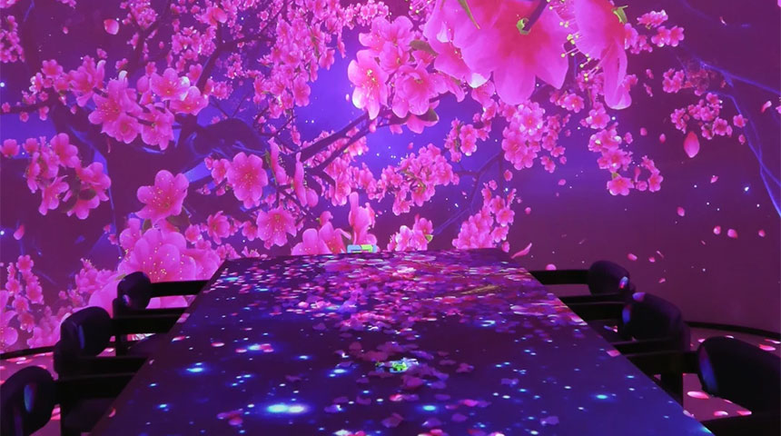 5d全息投影技术