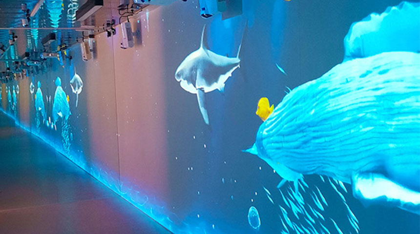 海洋ai互动墙系统