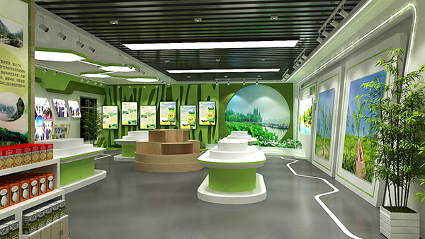 生物多样性展馆设计，探索生命网络全景