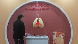 人体发动机心脏互动装置_其他展项项目导览图4
