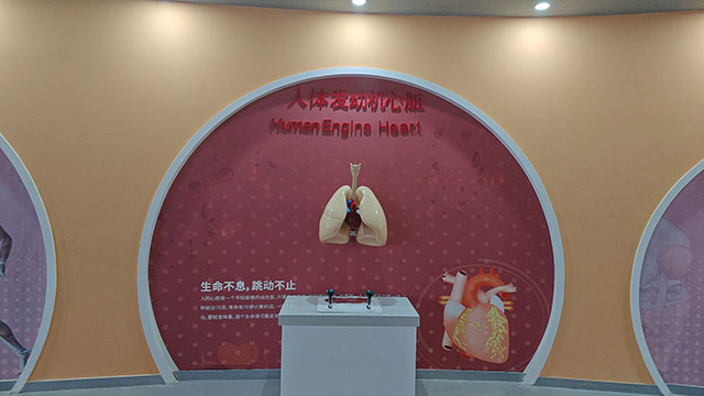 人体发动机心脏互动装置