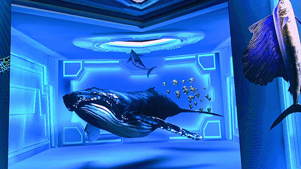 海洋博物馆设计如何营造沉浸式体验？