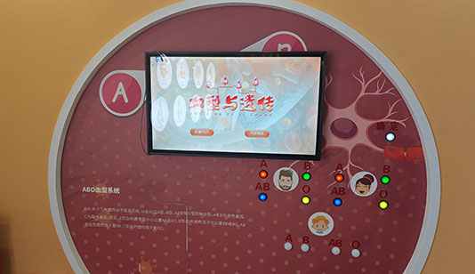 血型与遗传互动装置_其他展项项目导览图1