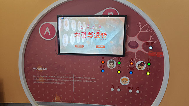 血型与遗传互动装置