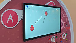 血型与遗传互动装置_其他展项项目导览图3