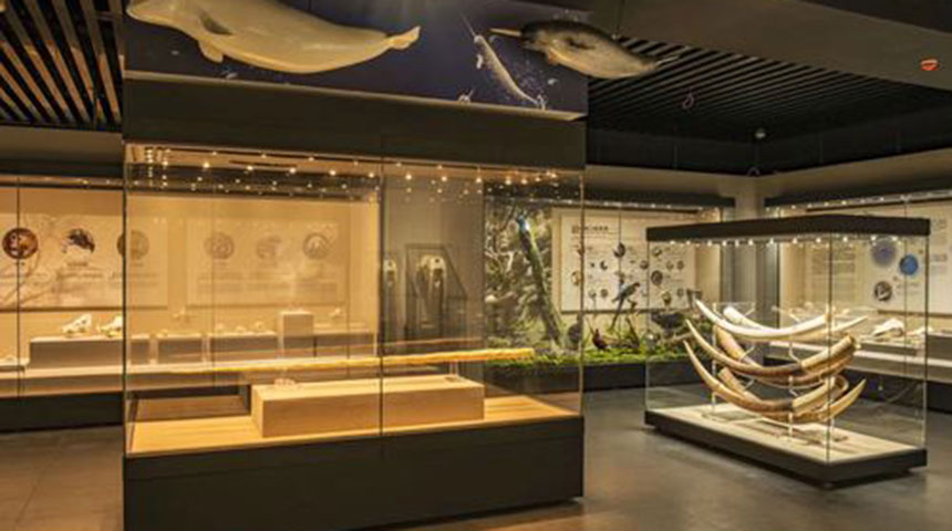 博物馆展厅建设设计