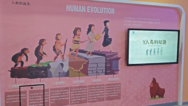 生物血型人类胚胎触摸屏合集