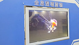 肺的呼吸全息透明柜_互动屏幕项目导览图2