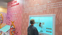 肺的呼吸全息透明柜_互动屏幕项目导览图4