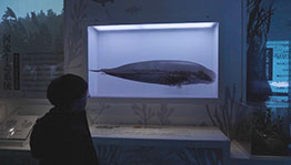 镇江江豚科技馆_数字展厅项目导览图5