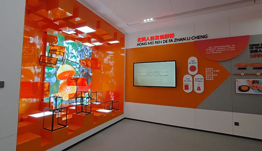 湖州南浔红美人展厅_数字展厅项目导览图1