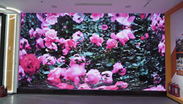 沭阳花谷主题展厅_数字展厅项目导览图4