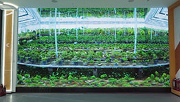 花谷沉浸式折幕影院_其他展项项目导览图4