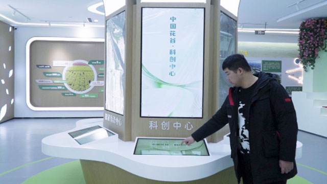 花谷产业导览双屏联动