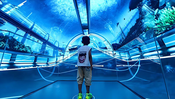 水族馆展示未来趋势，智能、沉浸与生态
