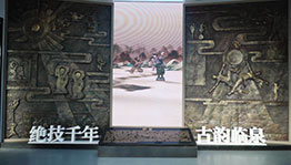 古韵临泉序厅LED大屏_其他展项项目导览图3