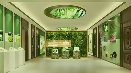 主题展厅-源头厂家直供降本增效