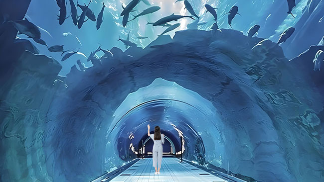 南麂岛LED海底沉浸式隧道