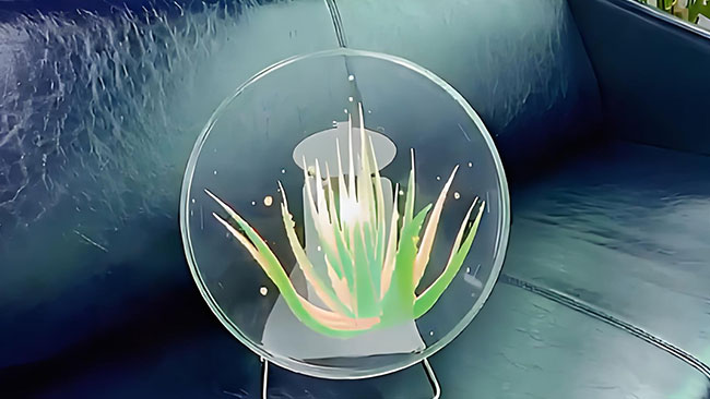 禁毒教育全息识别扇